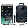 Е0170 Музыкальная колонка 8' TTD-8250, 2200mA, DC5V, 5W, dB, FM, TFCard, USB, микрофон, пульт, AUX, Led displey