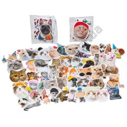 L0299 Стикеры (наклейки) виниловые 4-7см 50шт, Фото Мемы, Stickers cats, 7.5*7.5см, 24г.